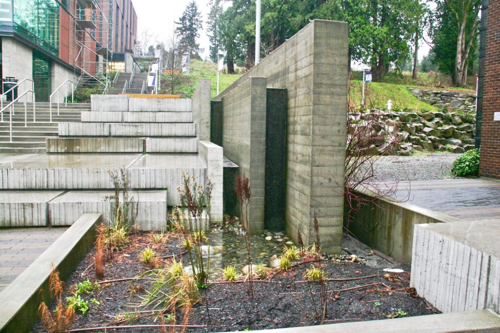 Rain garden on plaza in front of discovery hall