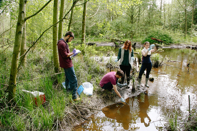 Students collecting water samples in the wetland.