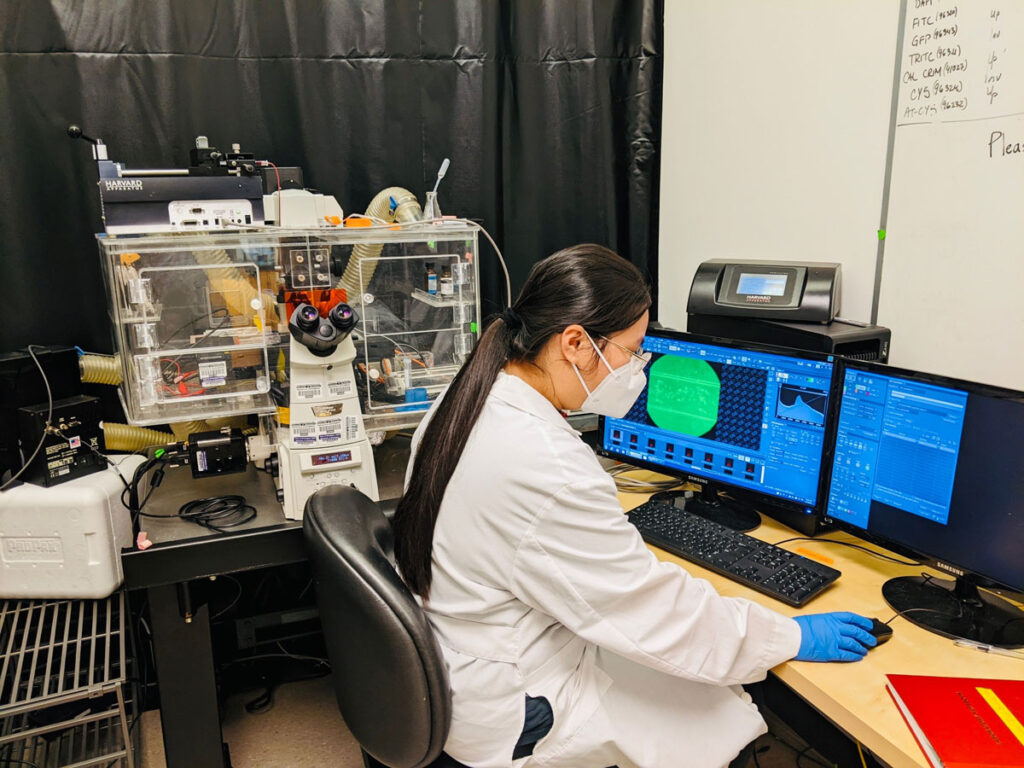 Dang Truong sits at her computer while working in a lab.