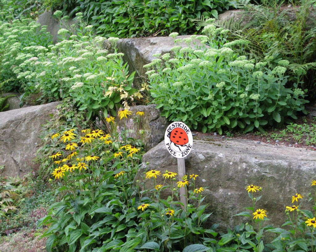 A garden with a "pesticide free" sign.