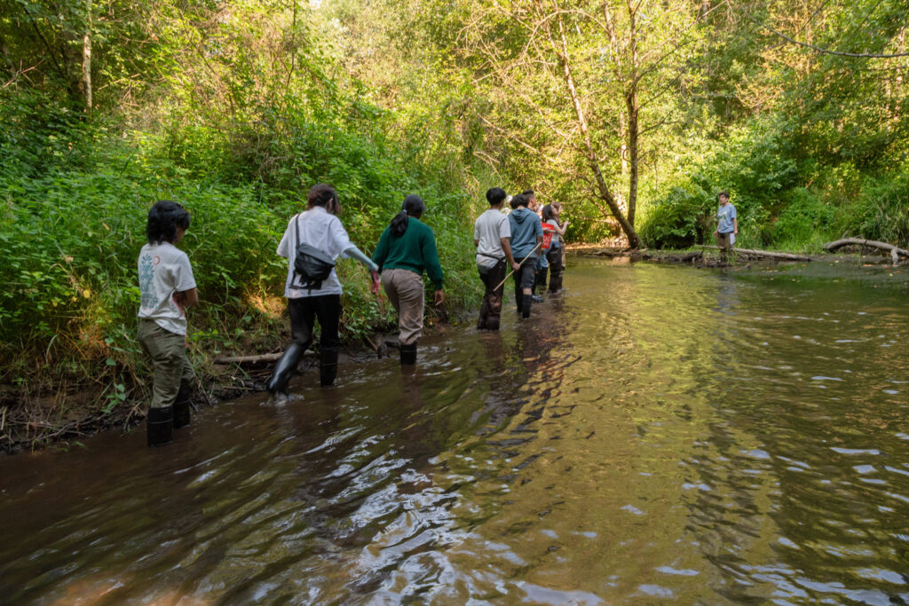 A group of people in a wetland area.