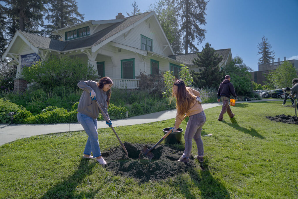 Two people dig a hole.