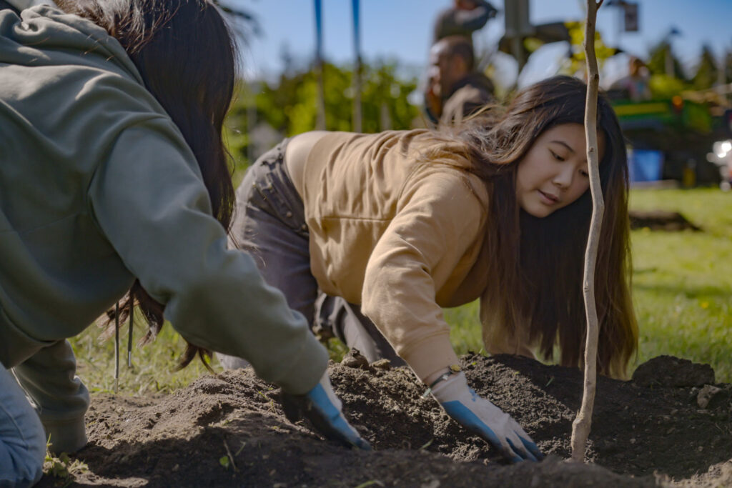 Two people plant a tree.