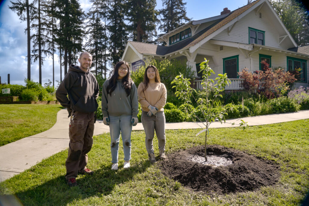 Three people stand next to a tree.