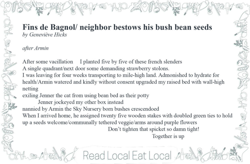 A poem: "Fins de Bagnol/ neighbor bestows his bush bean seeds
by Geneviève Hicks
after Armin
After some vacillation I planted five by five of these french slenders
A single quadrant/next door some demanding strawberry stolons.
I was leaving for four weeks transporting to mile-high land. Admonished to hydrate for
health/Armin watered and kindly without consent upgraded my raised bed with wall-high
netting
exiling Jenner the cat from using bean bed as their potty
Jenner jockeyed my other box instead
nannied by Armin the Sky Nursery born bushes crescendoed
When I arrived home, he assigned twenty five wooden stakes with doubled green ties to hold
up a seeds welcome/communally tethered veggie/arms around purple flowers
Don’t tighten that spicket so damn tight!
Together is up."