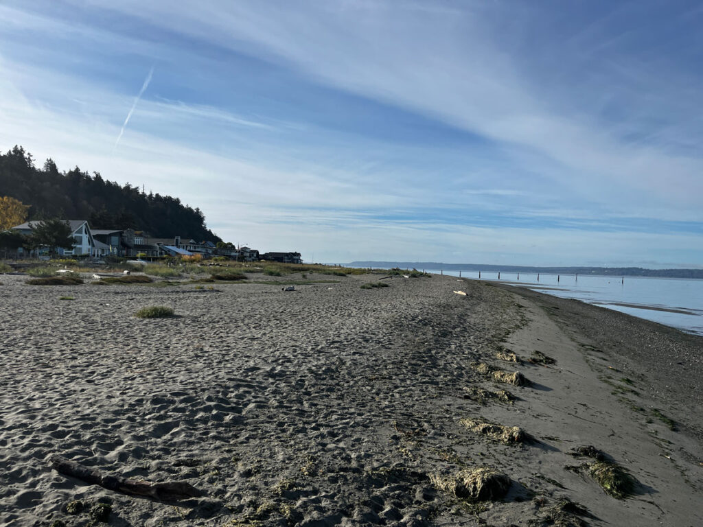 A beach.