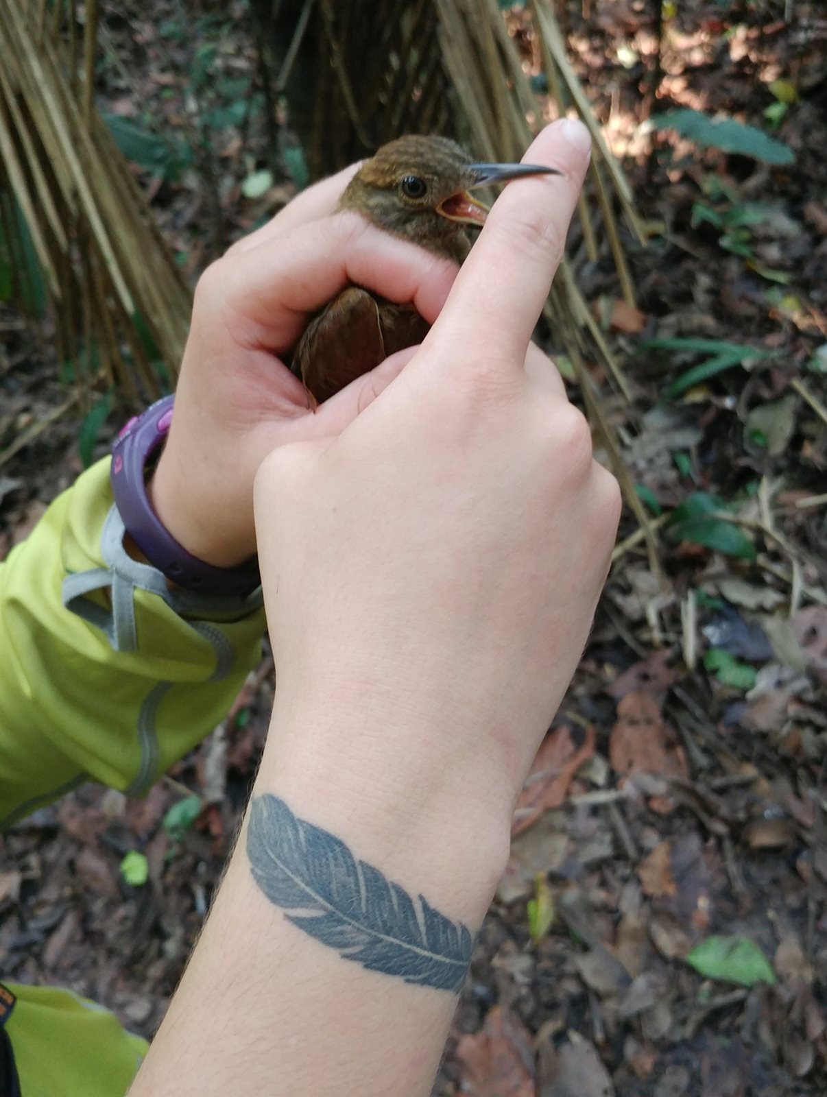 Brianna Wrightson holds bird