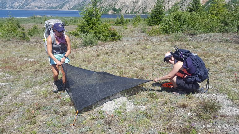 Stretching a shade cloth.