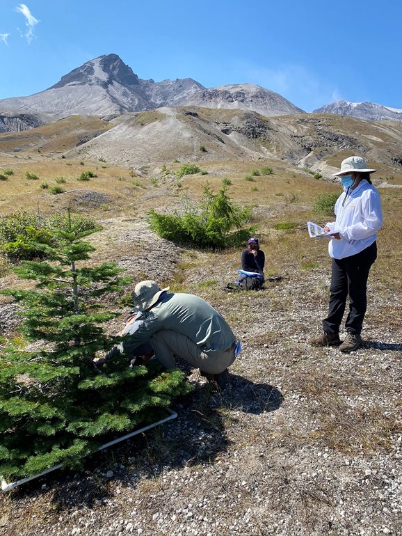 Alex Wachter looks at what's growing under tree branches.