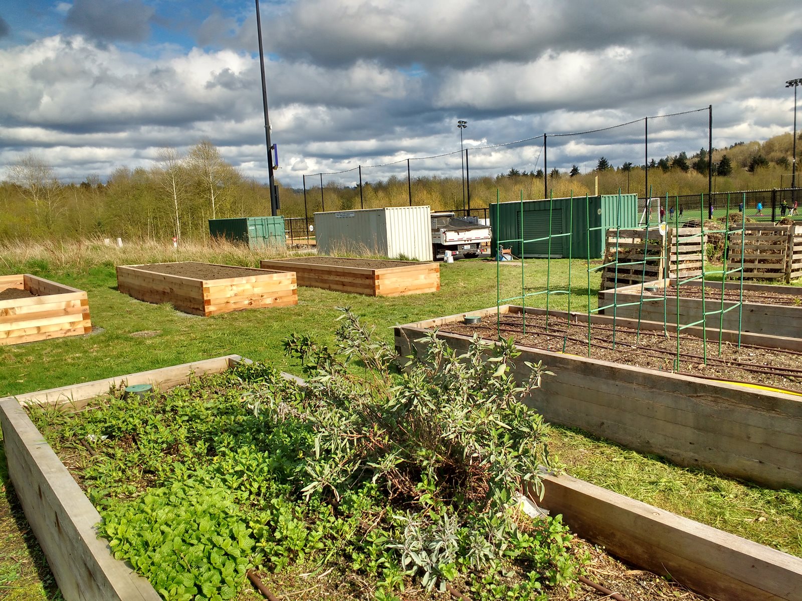 campus garden