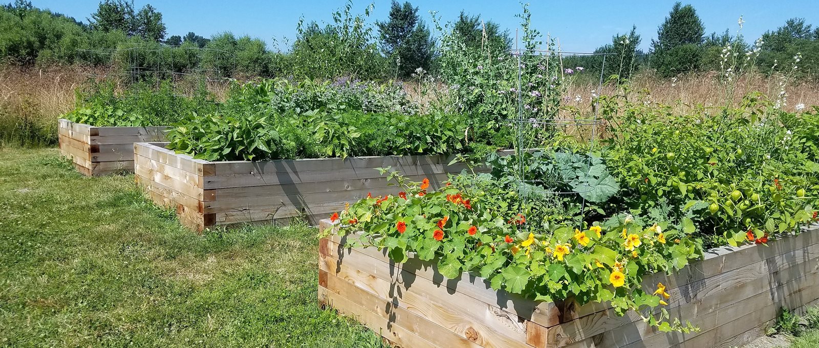 campus garden