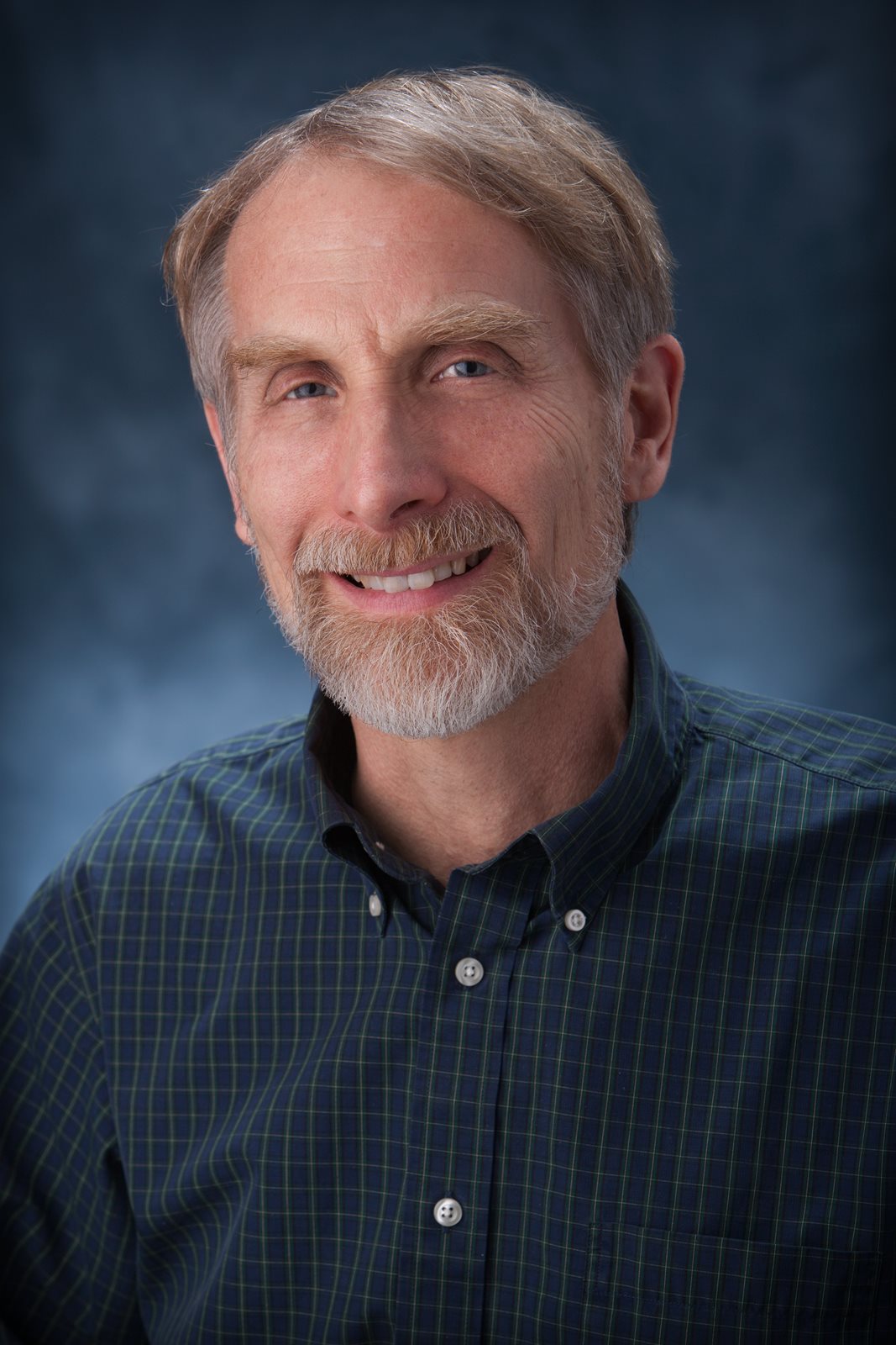 david stokes promoted to full professor