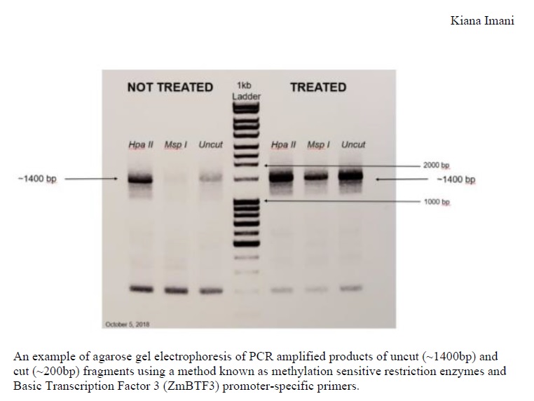 A comparison of DNA results.