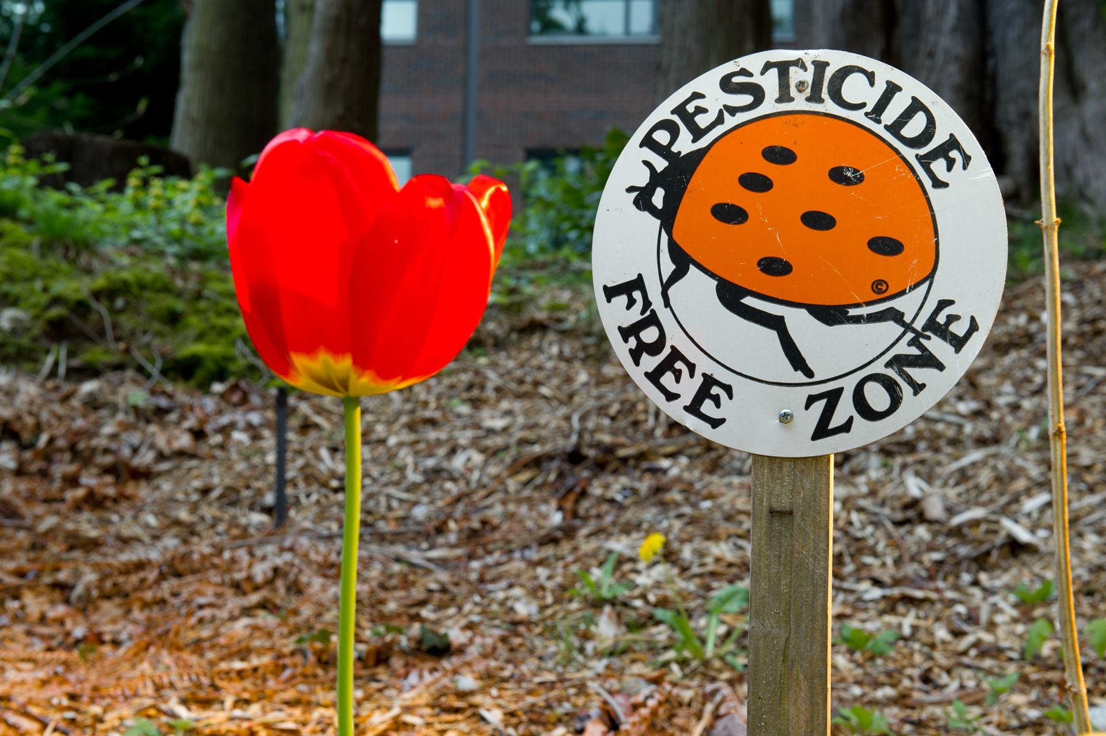 Pesticide free zone label