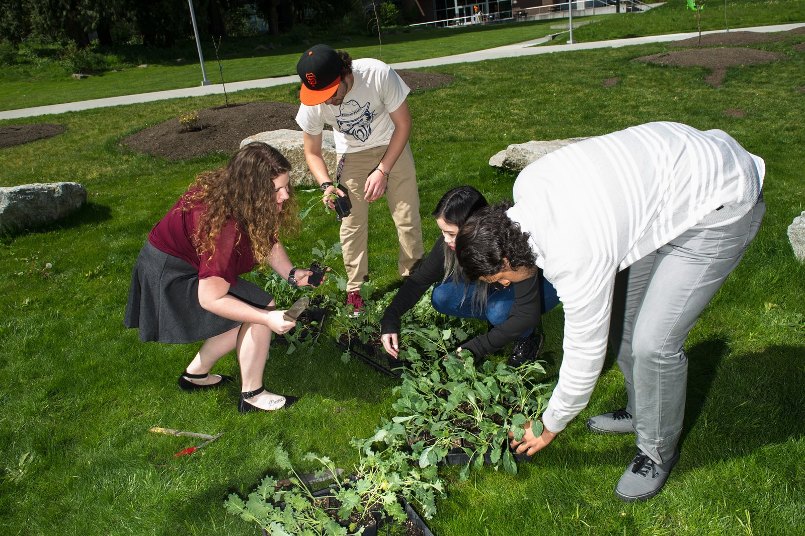 Earth Day planting