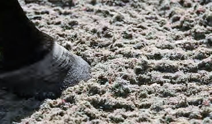 Hoof on track surface