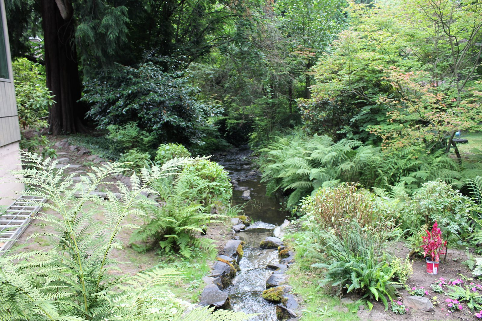 McKinnon Creek running into Lyon Creek