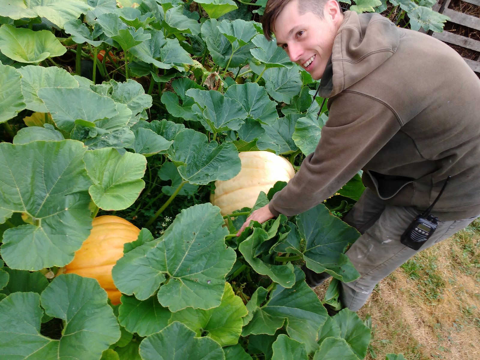 Marshall Leroy and pumkin