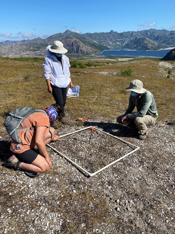 Every species is counted within the outlined plot.