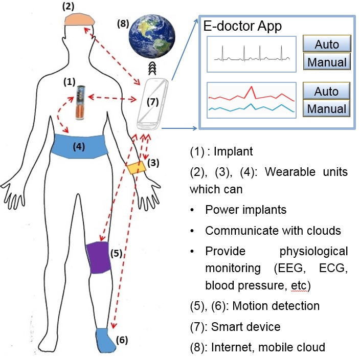 body monitor graphic