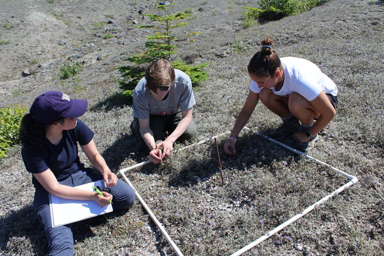 A species survey in a square meter.