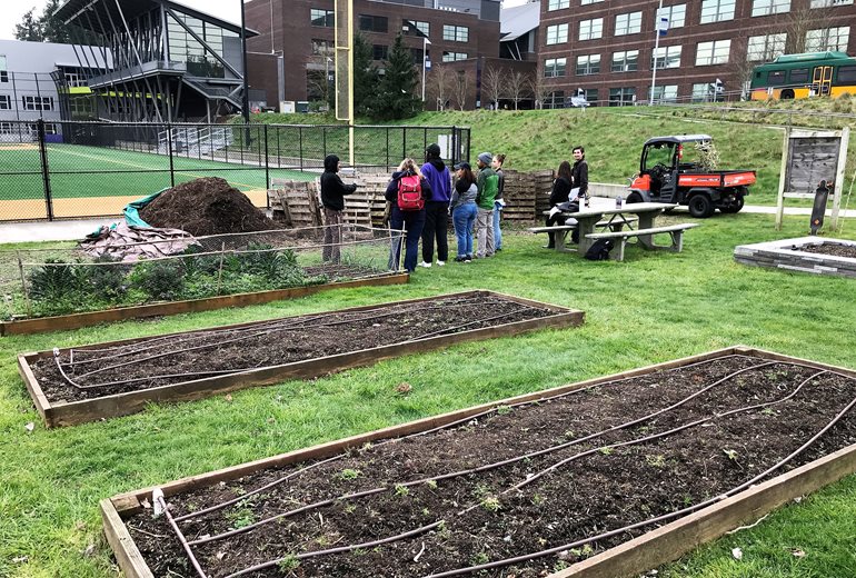 Planting beds at the Farm.